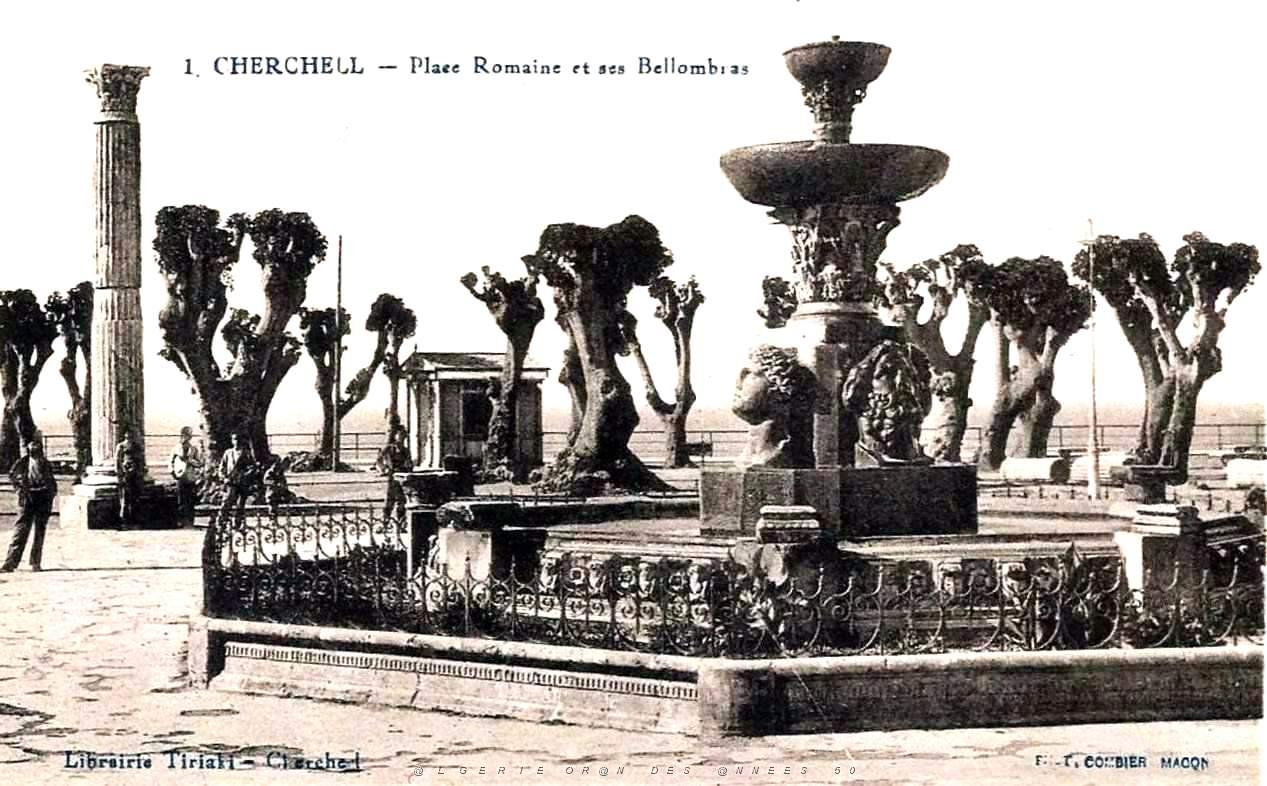 Cherchell - Place Romaine et ses Bellombras.jpg